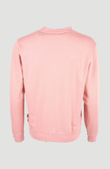 Women of the Wave Crew Sweatshirt Women - Genuine Pink