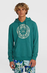 O'Neill Must-Have Graphic Hoodie Men - Botanical Heat