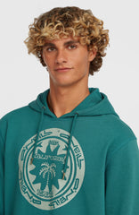 O'Neill Must-Have Graphic Hoodie Men - Botanical Heat