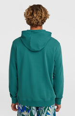 O'Neill Must-Have Graphic Hoodie Men - Botanical Heat