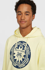 O'Neill Must-Have Graphic Hoodie Men - Rainforest Dew