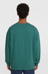 O'Riginals Crew Sweatshirt Men - Botanical Heat