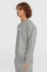 Future Surf Society Crew Men - Silver Melee