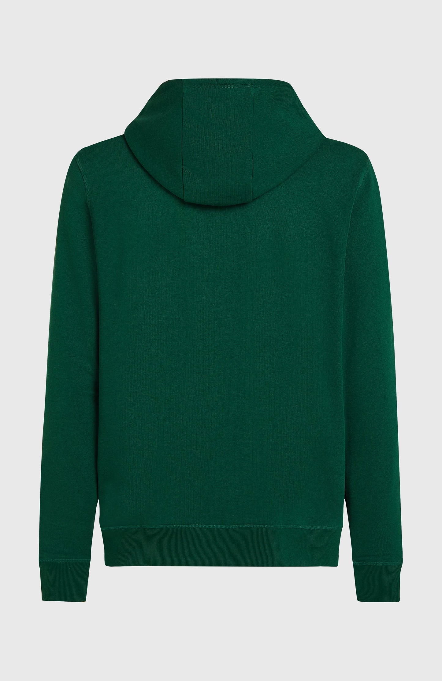 Small Logo Full-Zip Hoodie Men - Emerald Envy