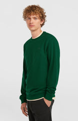 Small Logo Crew Sweatshirt Men - Emerald Envy