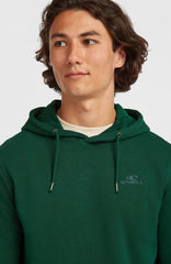 Small Logo Hoodie Men - Emerald Envy