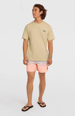 O’Neill Retro Back Print T-Shirt Men - Cocoa Sand