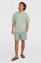 O'Neill Small Logo T-Shirt Men - Marble Arch