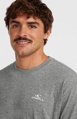 O'Neill Small Logo T-Shirt Men - Silver Melee