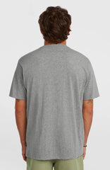 O'Neill Small Logo T-Shirt Men - Silver Melee