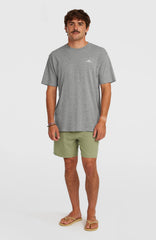 O'Neill Small Logo T-Shirt Men - Silver Melee