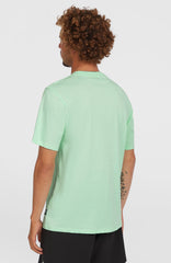 Stripe T-Shirt Men - Mildrew Mint