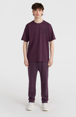 Future Surf Society T-Shirt Men - Aubergine