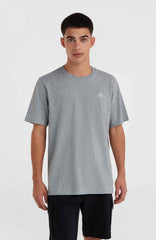 O'Neill Small Logo T-Shirt Men - Silver Melee