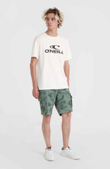 O'Neill Logo T-Shirt Men - Snow White