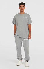 Future Surf Society Sweatpants Men - Silver Melee