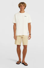 Hybrid 19" Shorts Men - Cocoa Sand