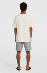 O'Neill Small Logo Sweatshorts Men - Silver Melee