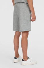Future Surf Society Shorts Men - Silver Melee