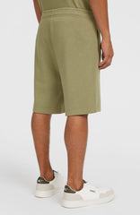 Future Surf Society Shorts Men - Avery Fern