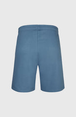 Future Surf Society Shorts Men - Copen Blue