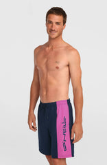 O'Neill Retro 19'' Swimshorts Men - English Evening Colour Block