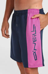O'Neill Retro 19'' Swimshorts Men - English Evening Colour Block