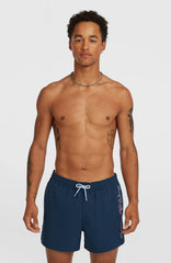 Retro 14'' Swimshorts Men - English Evening