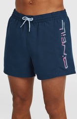 Retro 14'' Swimshorts Men - English Evening