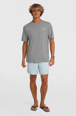 O'Neill Vert 16'' Swimshorts Men - Spindle