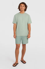 O'Neill Vert 16'' Swimshorts Men - Marble Arch