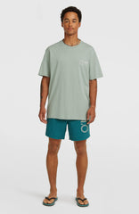 O'Neill Cali 16'' Swimshorts Men - Botanical Heat