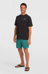 O'Neill Logo 16'' Swimshorts Men - Botanical Heat