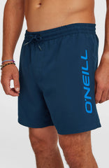 O'Neill Logo 16'' Swimshorts Men - English Evening