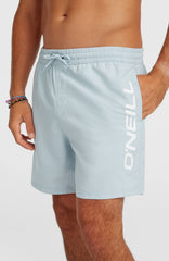 O'Neill Logo 16'' Swimshorts Men - Spindle