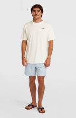 O'Neill Logo 16'' Swimshorts Men - Spindle