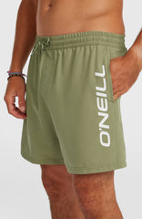 O'Neill Logo 16'' Swimshorts Men - Avery Fern