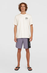 Retro 19'' Swim Shorts Men - Storm Colour Block