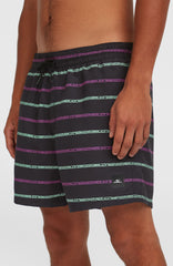 Cali First 15'' Swim Shorts Men - Black/Purple O'Neill Stripe