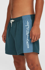Retro 14'' Swim Shorts Men - Alma Steel Colour Block