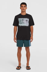 Retro 14'' Swim Shorts Men - Alma Steel Colour Block