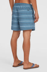 Cali First 15'' Swim Shorts Men - Blue O'Neill Stripe