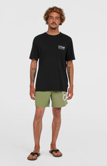 Original Cali 16'' Swim Shorts Men - Avery Fern