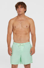 O’Neill Vert 16'' Swim Shorts Men - Mildrew Mint