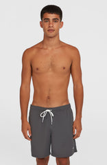 O'Neill Vert 16" Swim Shorts Men - Asphalt