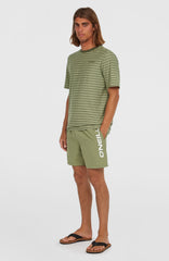 Cali 16'' Swim Shorts Men - Avery Fern