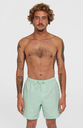 Cali 16'' Swim Shorts Men - Mildrew Mint