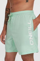 Cali 16'' Swim Shorts Men - Mildrew Mint