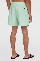 Cali 16'' Swim Shorts Men - Mildrew Mint