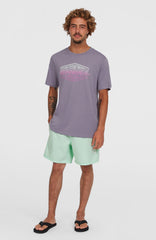 Cali 16'' Swim Shorts Men - Mildrew Mint